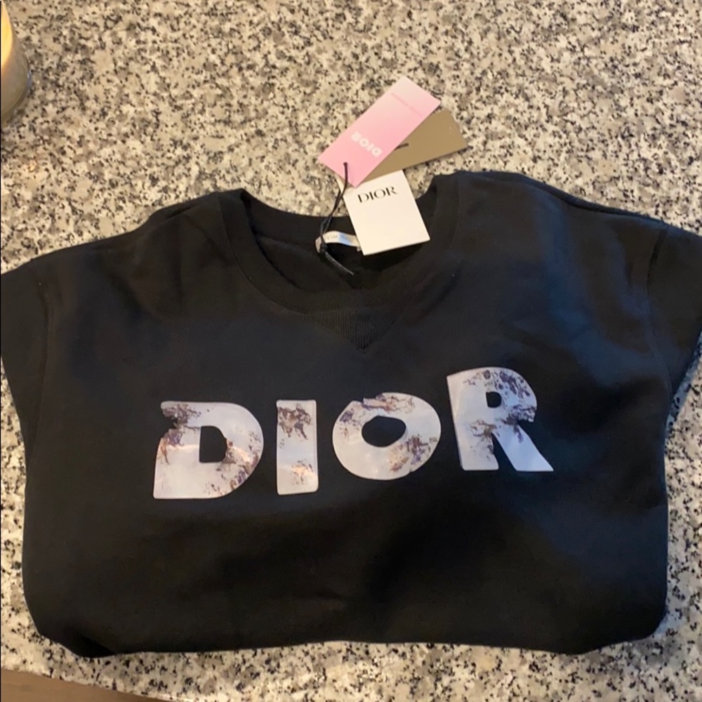 Christian dior x daniel arsham sweat shirt (2x)